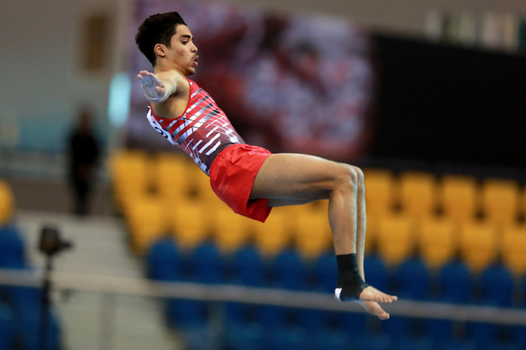 Qatar Olympic Committee’s New Wave of Talented Athletes