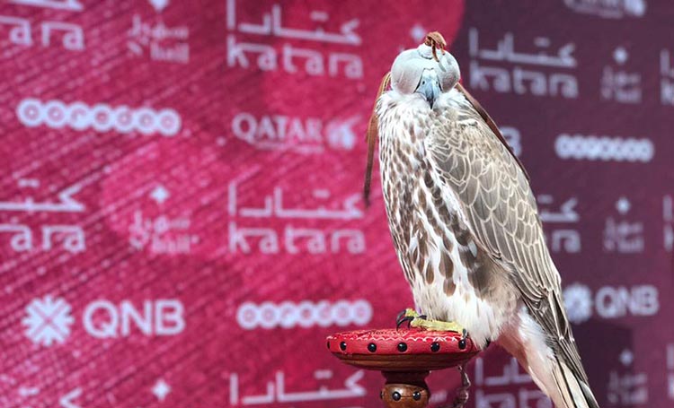 S'hail Katara Falcon