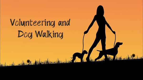 Volunteering and Dog Walking