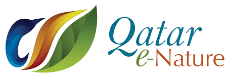qatar enature logo