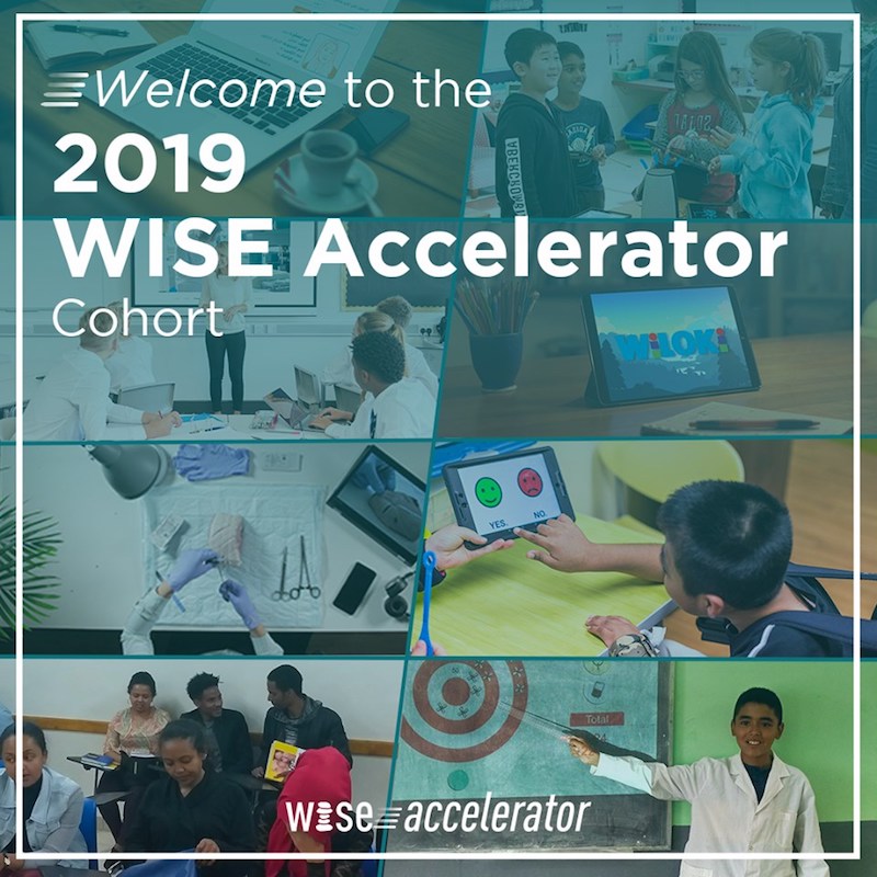 2019 WISE Accelerator Cohort