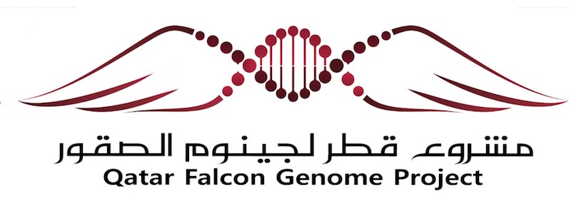 Qatar Falcon Genome Project