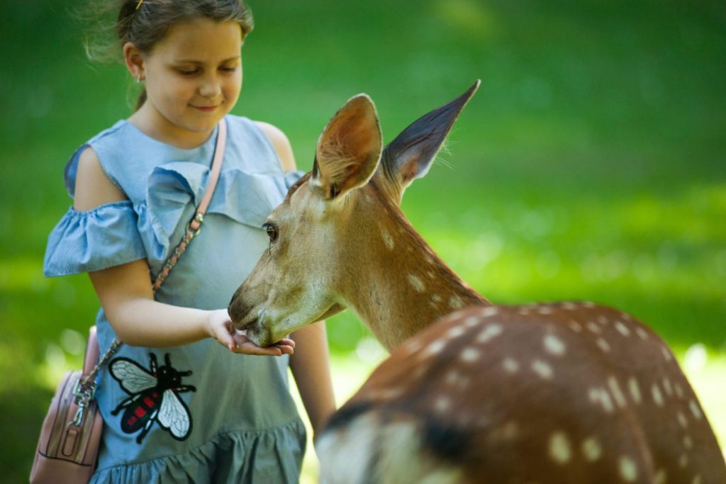 Visit Local Animals at These Family-Friendly Destinations